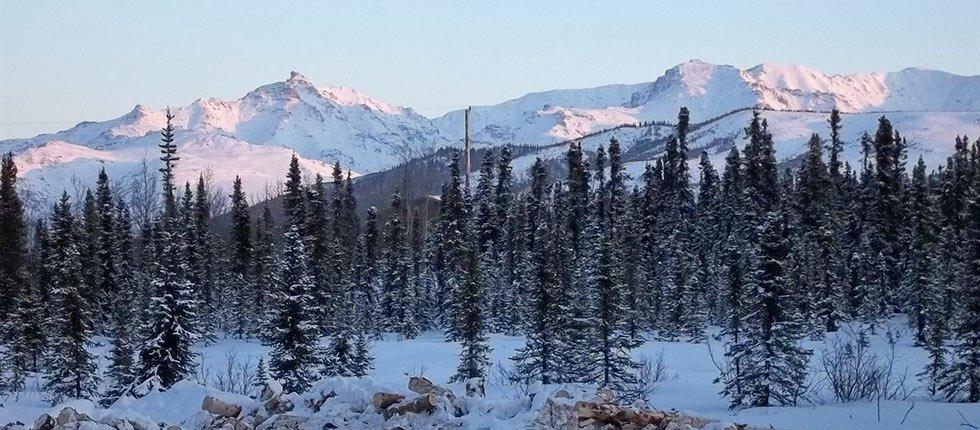 Denali Touch Of Wilderness B&B Healy Eksteriør billede